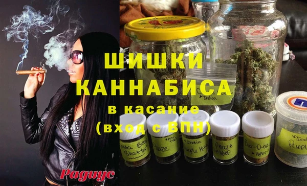 дживик Балахна