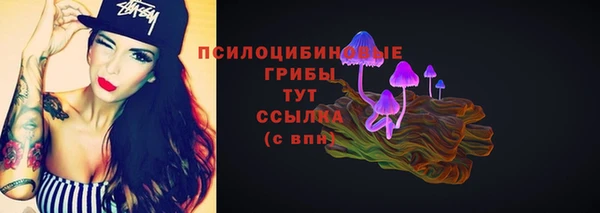 дживик Балахна