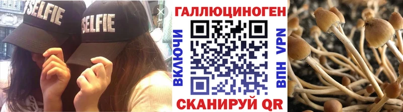 Галлюциногенные грибы MAGIC MUSHROOMS  купить наркотик  Белогорск 